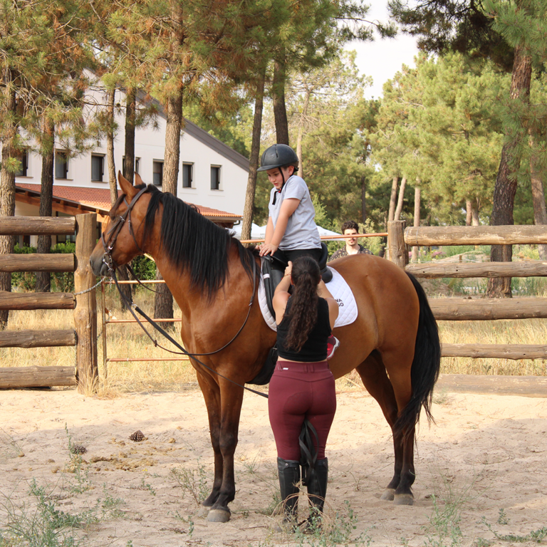 hipica2-campamento-estudiotec