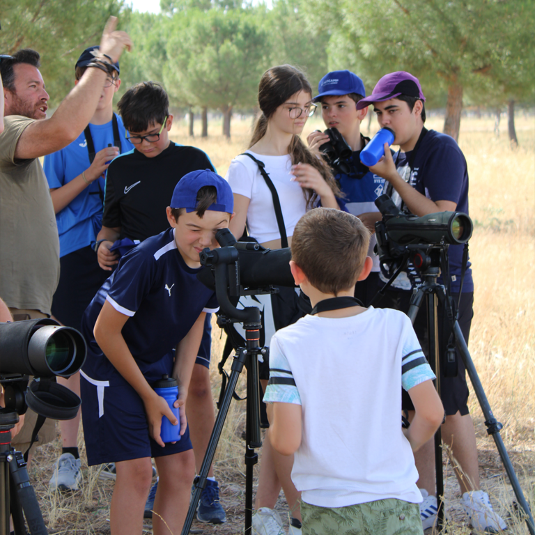 observacion-campamento-estudiotec